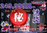 【2026年 決算 謎袋】  249,999円　PSA、素体、BOXなどなど セット（ポケカ）