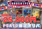 [2025 April Ver. PSA10 Confirmed Pokeka Original Pack] 25 units in total, 30,000 yen per unit (tax included) Pokemon Card Pokeka 